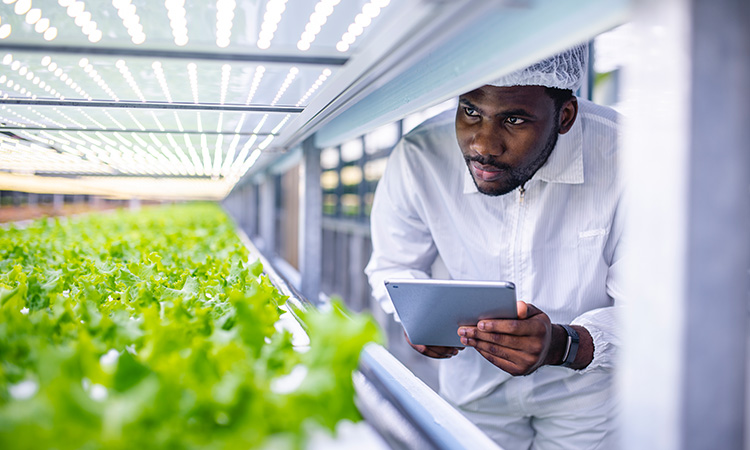 Building Internal Control Environment for your Business