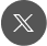 X Icon